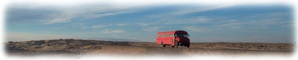 Gus the Bus